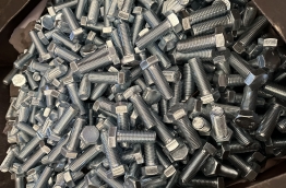 Hex bolt